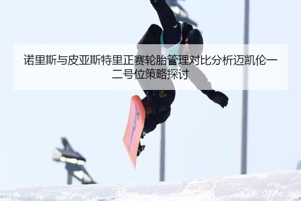 诺里斯与皮亚斯特里正赛轮胎管理对比分析迈凯伦一二号位策略探讨